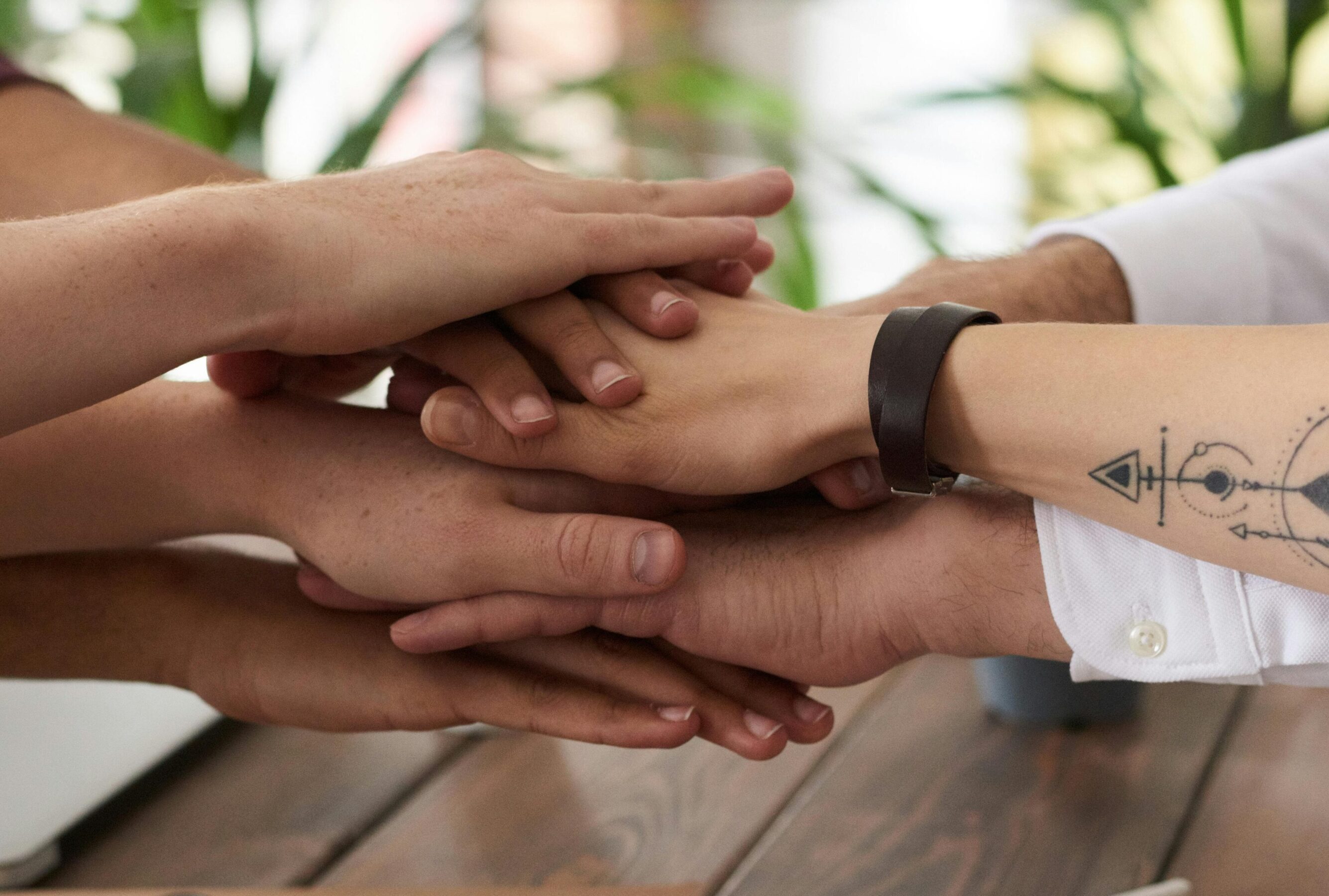 Raising the Bar: The Power of Continuous Improvement in Quality Management